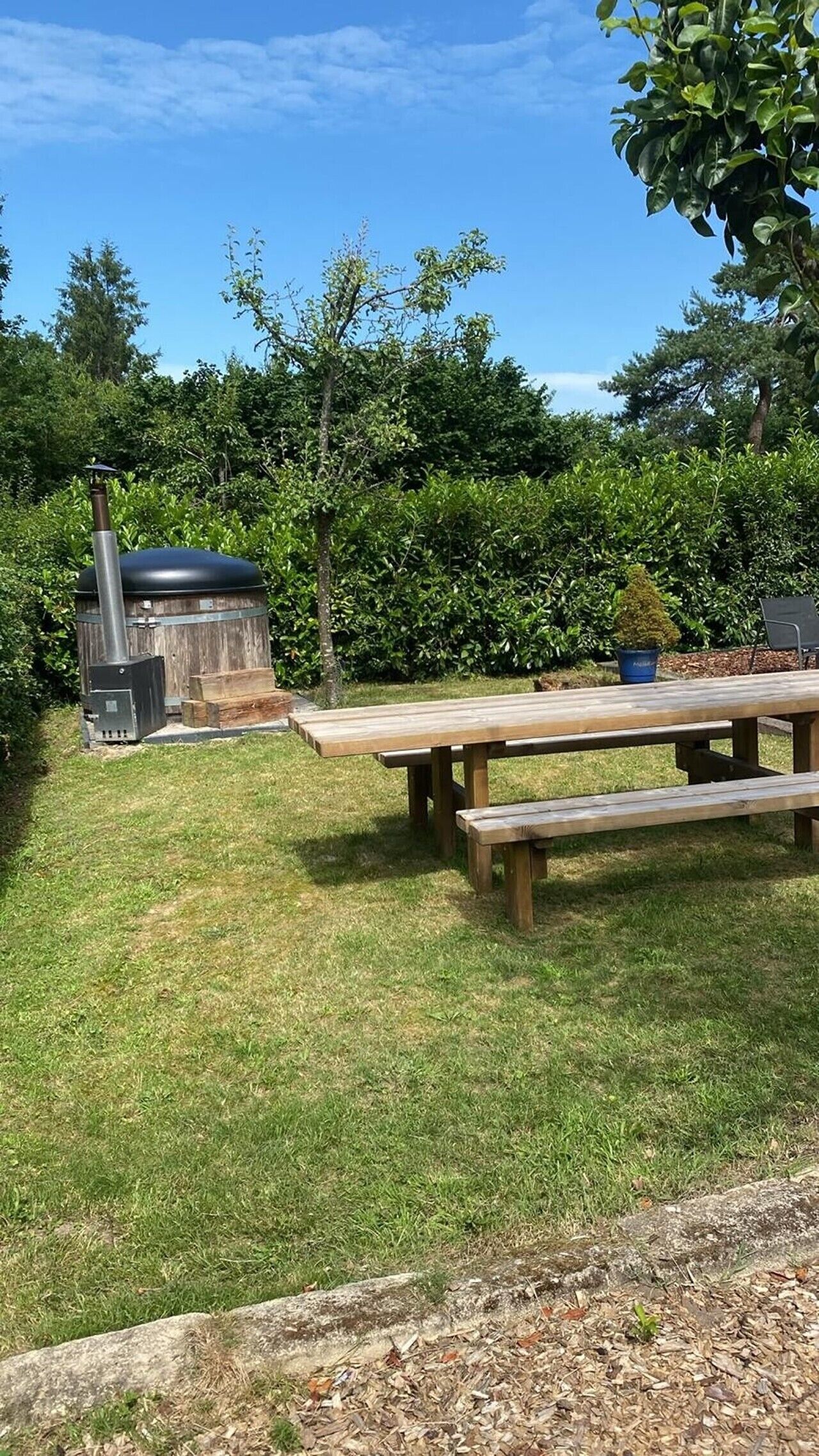 Un'area picnic con tavolo e panchine, circondata da un prato erboso e folto arbusteto.