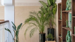 A corner with a potted plant, a small stool, and a wooden shelf with green vases. - Bab Akoul Medina & spa (Marrakech)