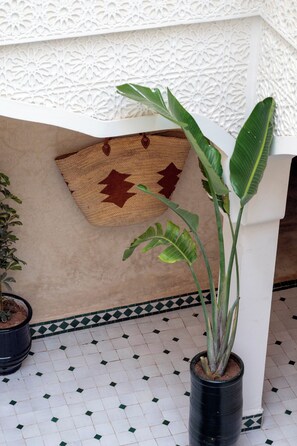 Uma planta em vaso com folhas largas num vaso preto, um jogo americano tecido com padrão de estrela, e um chão de azulejos com padrão geométrico.