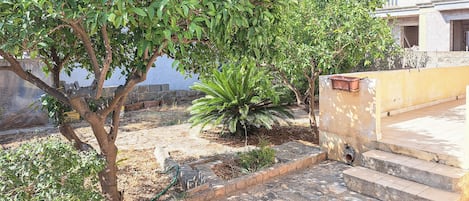 庭園