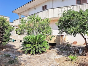 Ein Gebäude mit Balkon, einer großen Grünpflanze und einem Baum.