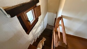 A staircase with a wooden handrail and a dog at the bottom.