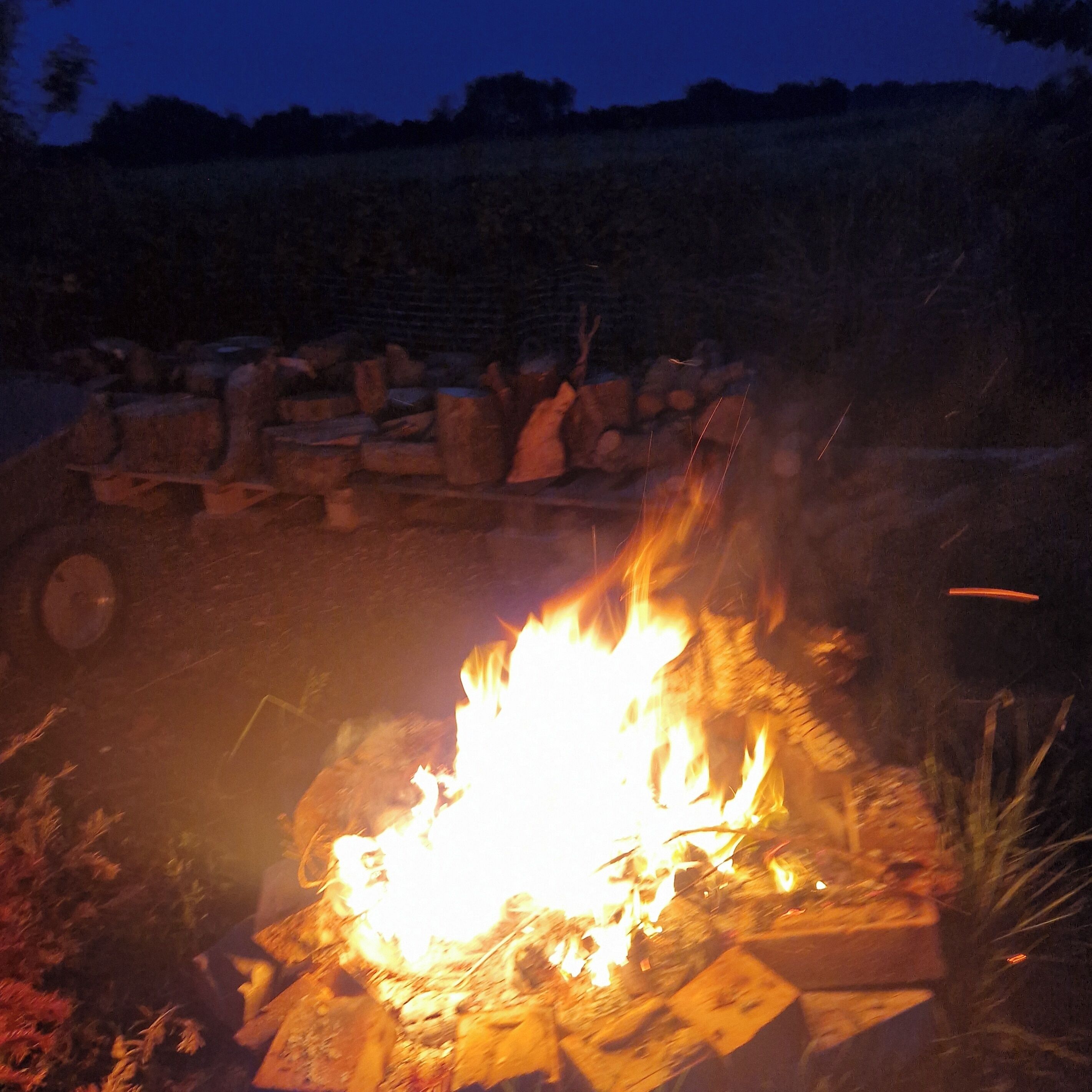 A campfire with logs arranged in a circle, surrounded by rocks and vegetation.