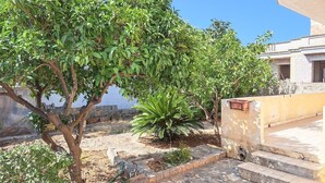 Un pati amb un arbre, una planta petita i una escala de pedra que mena a un edifici.