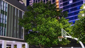 An outdoor basketball court with a tree and a building in the background.