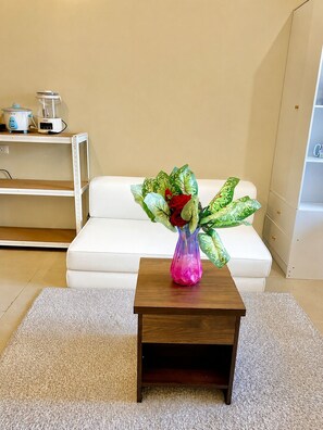 Interior - Avida Towers riala studio condo unit  (Cebu City)