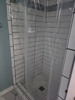 Bathroom - Delightful 2-bedroom cottage with AC in Ludington (Ludington)