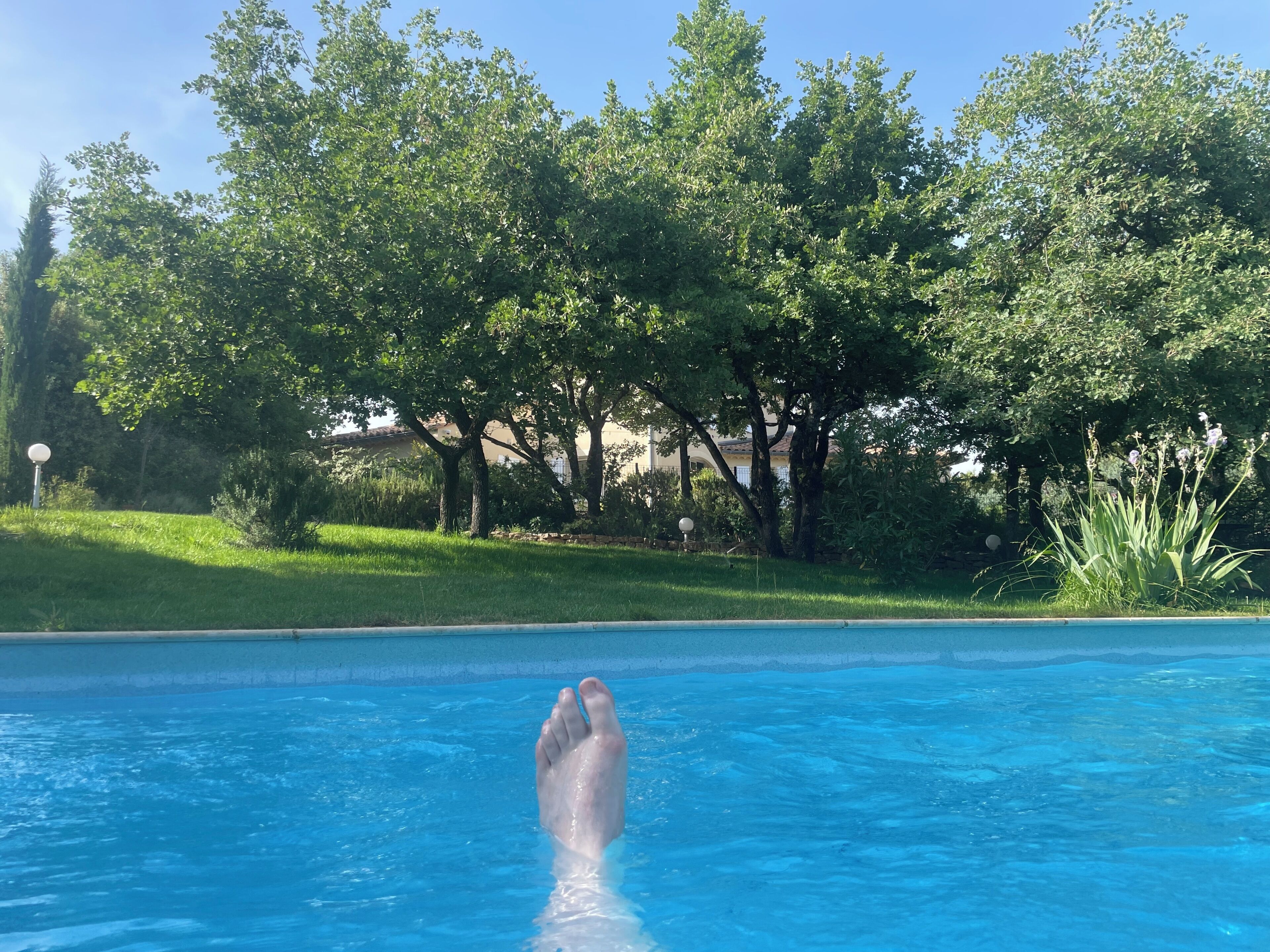 Una piscina con vista aperta sul verde circostante e sugli alberi.