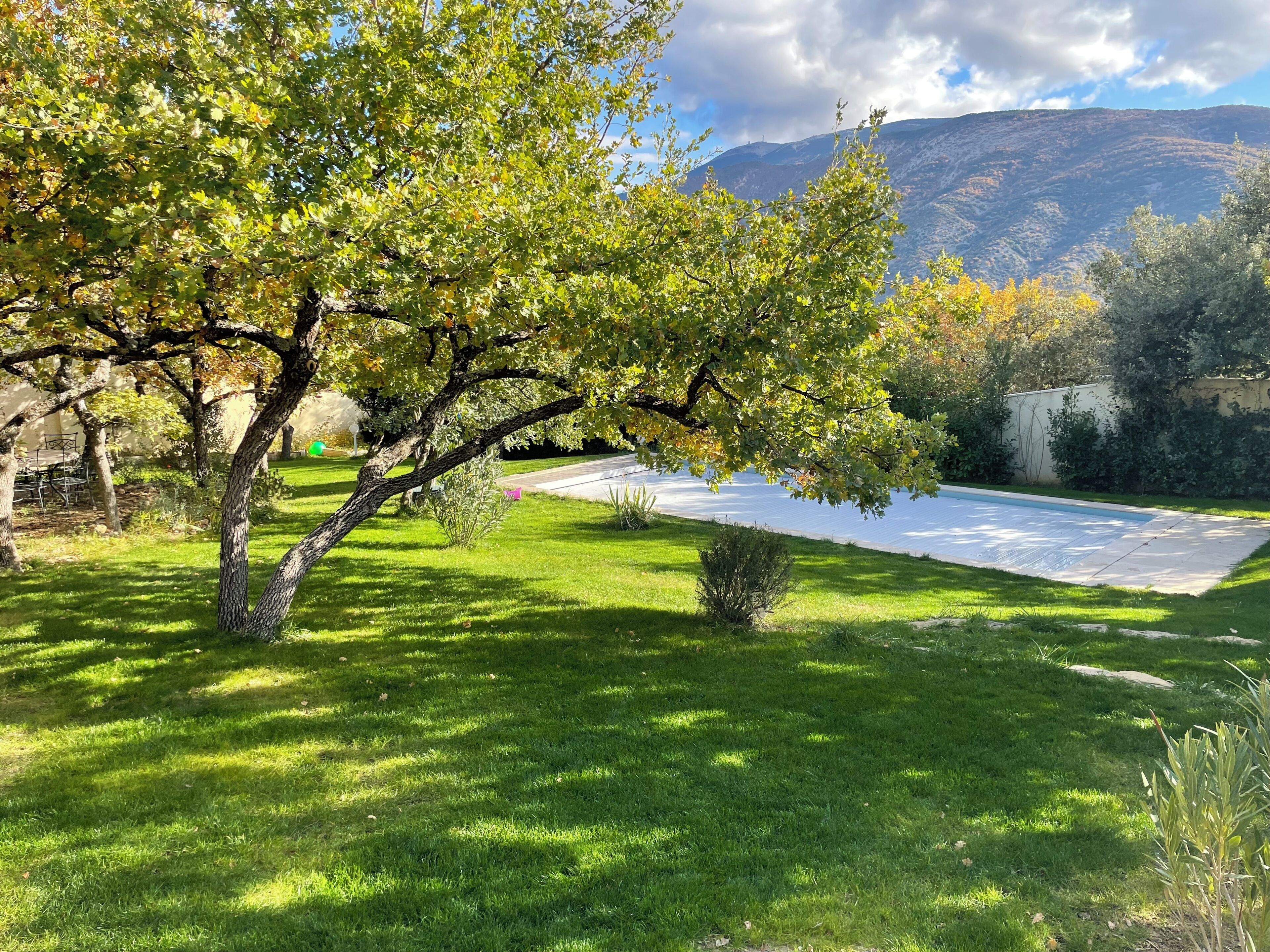 A grassy area with a pool, trees, and a mountain in the background.