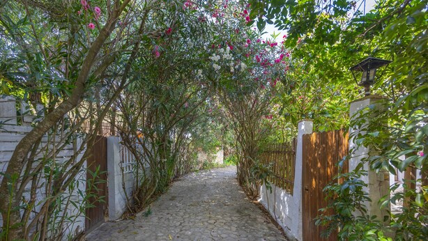 A cobblestone pathway flanked by lush greenery and a wooden gate. - Holiday Home 'El Mimbral' with Shared Pool, Wi-Fi and Air Conditioning (Vejer de la Frontera)
