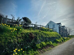 A rural setting with a stone wall, a wooden fence, and a building with a white facade. - Penpegws (Aberystwyth)