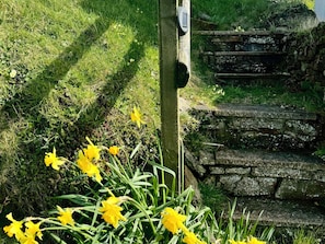 A stone staircase leading up to a building, surrounded by grass and yellow flowers. - Penpegws (Aberystwyth)