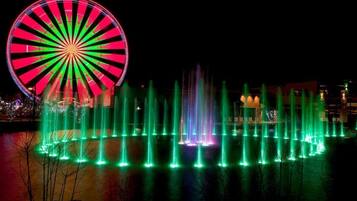 A large Ferris wheel and a fountain display at night.