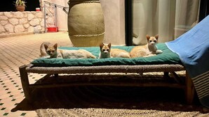 외관