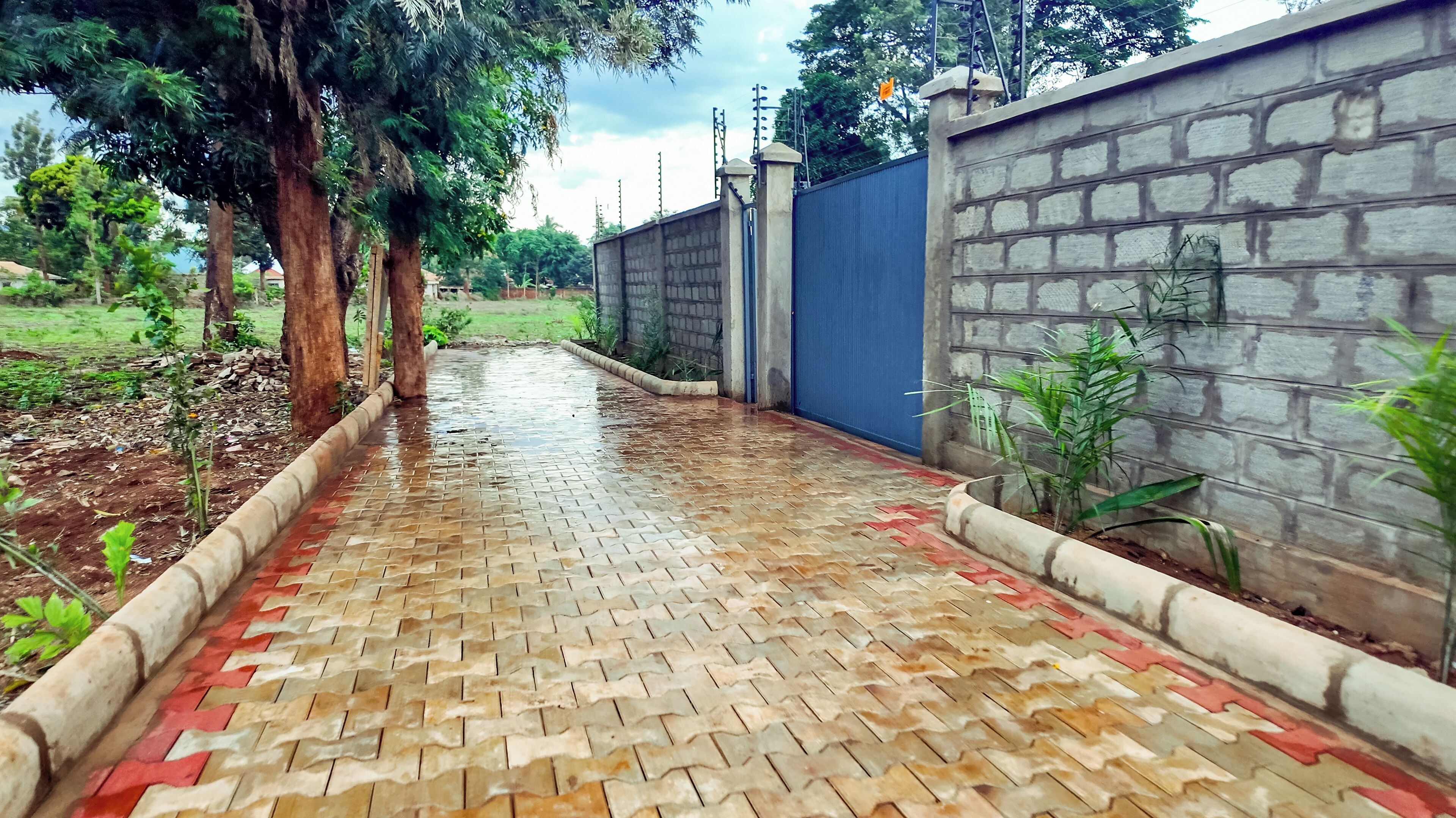 A paved pathway leading to a gated entrance, flanked by trees and a stone wall.