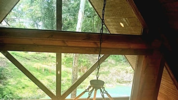 Techo de madera con candelabro y vista a un paisaje verde a través de amplios ventanales.