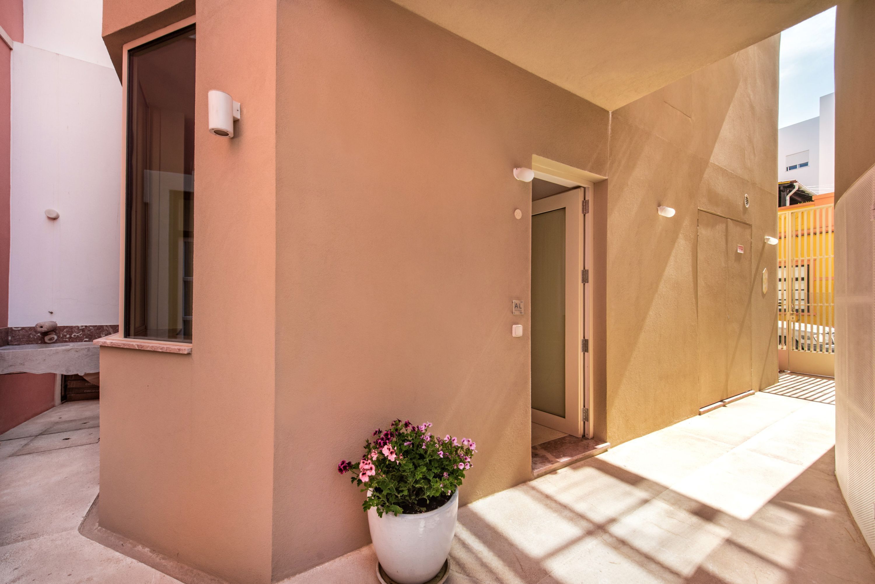 A building exterior with a potted plant, a door, and a window.