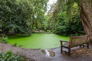 Eine Bank an einem Teich in einem bewaldeten Gebiet.