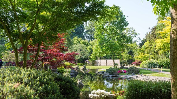 A garden with a pond, various trees, and a fence. - Royal Crescent Mews - One Bedroom House, Sleeps 2 (London)