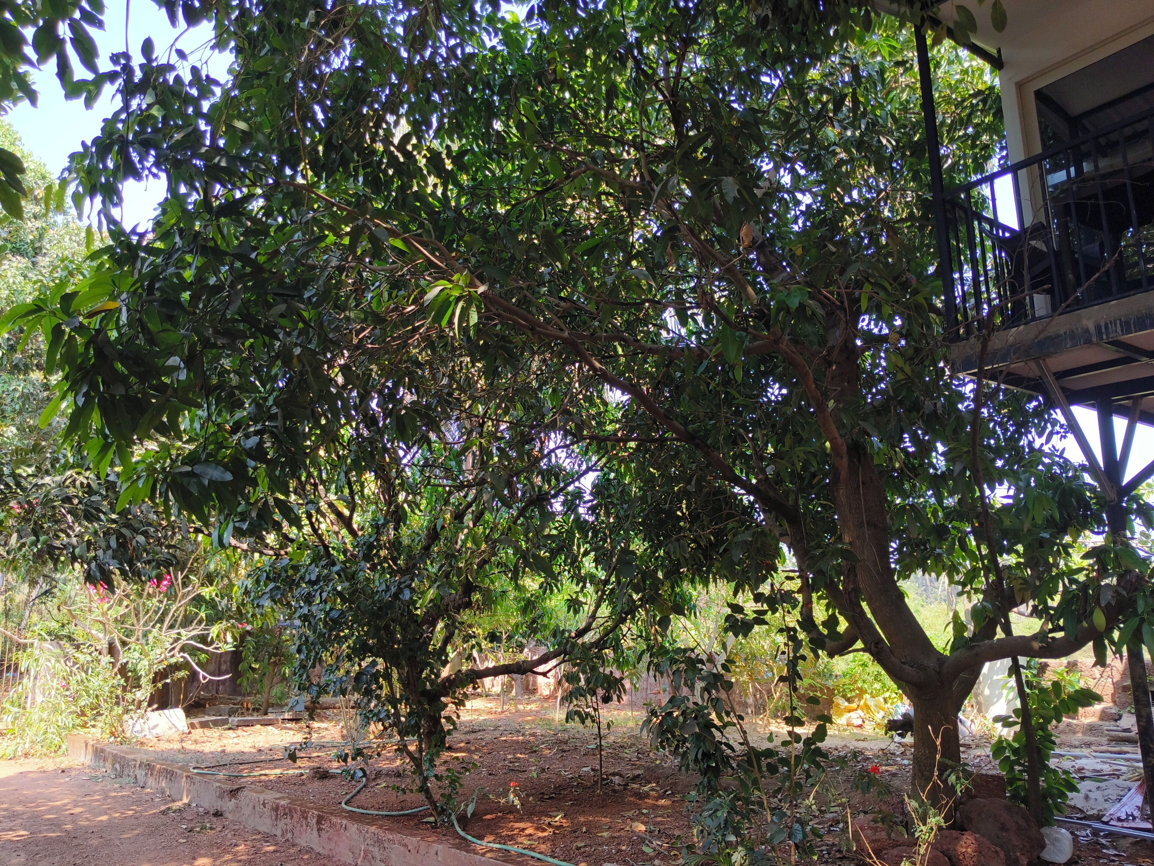 Área da propriedade