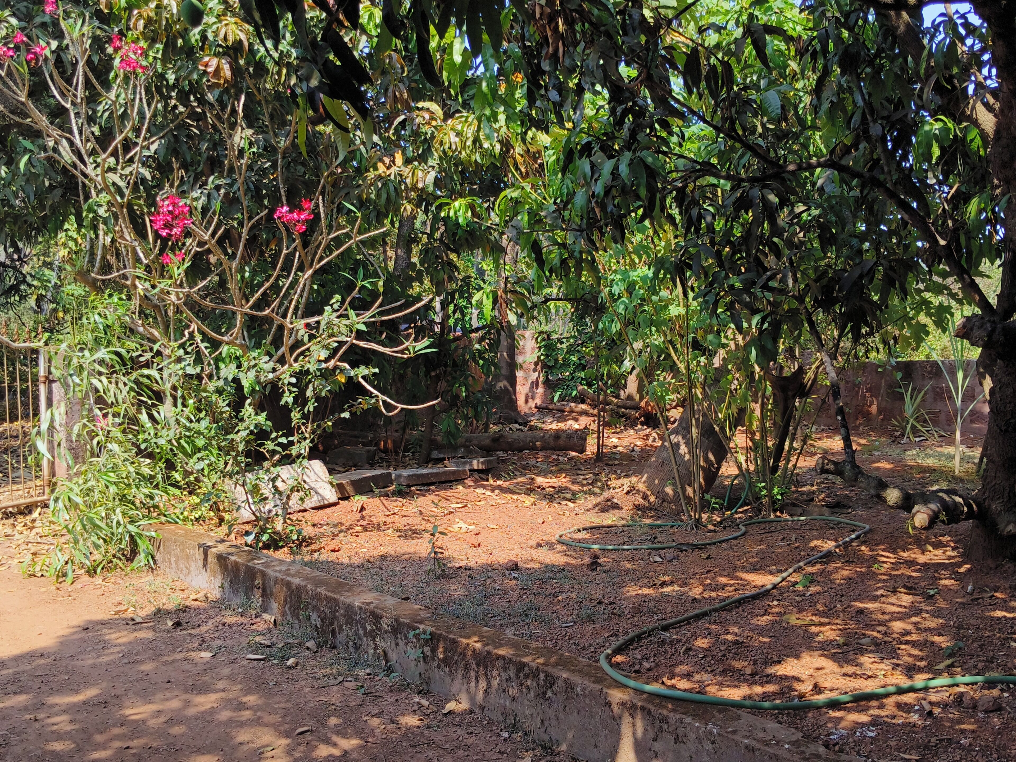 Jardines del alojamiento