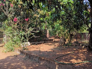 Property grounds - Eva Rooms 50 mtr From Ashwem Beach (Ashvem)