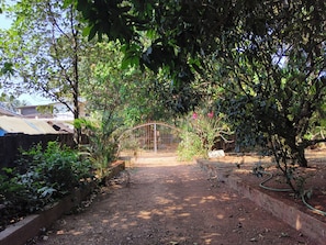 A garden pathway leading to a gated entrance, surrounded by dense foliage and a concrete border.