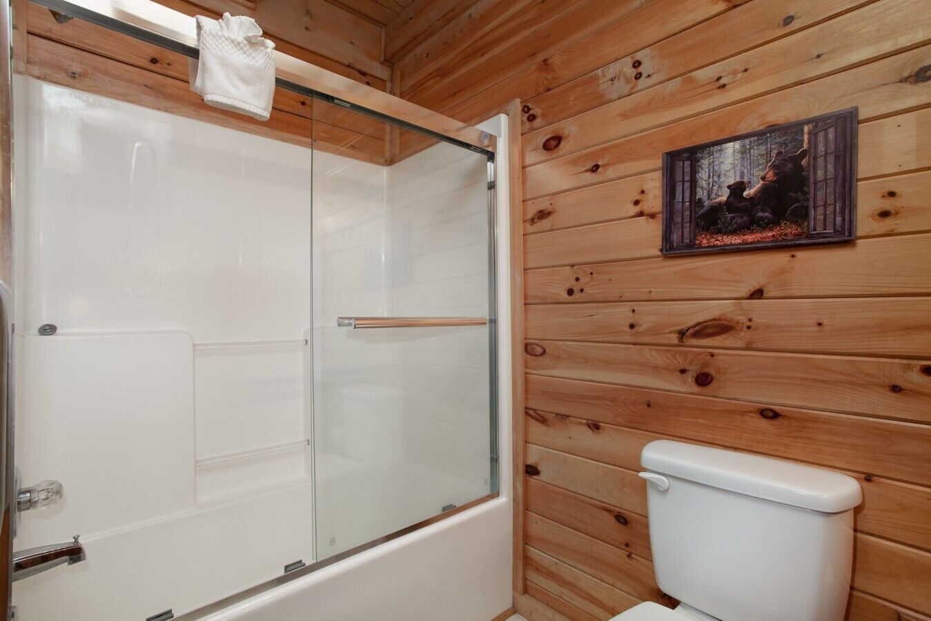 Een houten badkamer in een chalet, met een glazen douchecabine, een wit toilet en een ingelijst foto aan de muur.