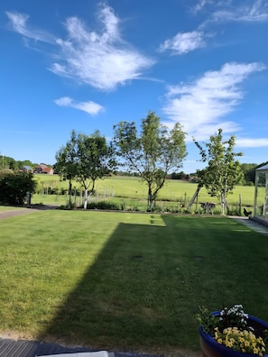Ein gepflegter Rasen mit einigen Bäumen, einem klaren Himmel und einem entfernten Blick auf ein Haus.