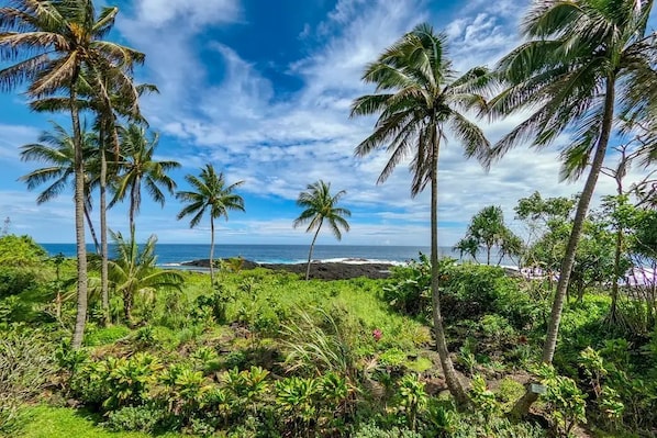 A tropical landscape with palm trees and a view of the ocean.