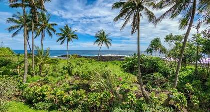 Central Hilo Oasis w/ AC | Walk to Shops & Dining