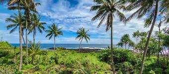 Central Hilo Oasis w/ AC | Walk to Shops & Dining