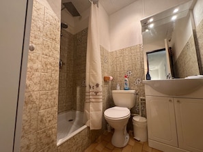 A bathroom with a shower, toilet, sink, and mirror. - Le Balcon du Chenal, Sleeps 4, Boat View (Le Grau-du-Roi)
