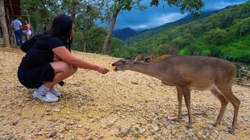 Miscellaneous