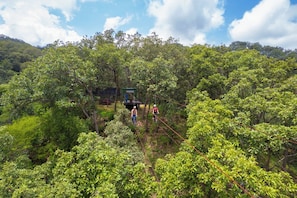 A forested area with a small structure, possibly a shelter, and a rope bridge. - UMA PARADISE (Puerto Vallarta)