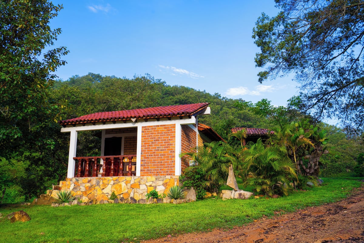Basic Cabin, Garden View | Premium bedding, down comforters, free WiFi