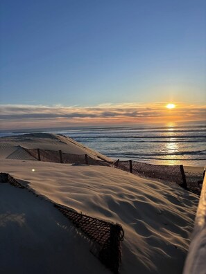 Ein Strand mit einem Zaun und Dünen.