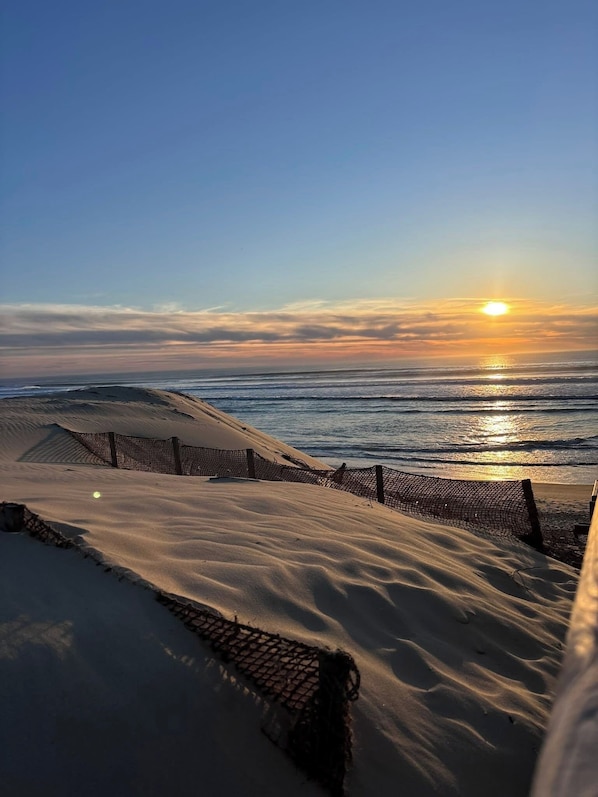 Ein Strand mit einem Zaun und Dünen.