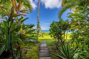 A pathway leading to a beach with palm trees and a clear sky. - Gardenia Studio: Hilo Oasis w/ AC | Walk to Shops (Hilo)