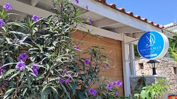 Detalle del exterior