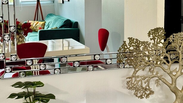 Une pièce avec un grand miroir, une plante en pot et un arbre décoratif.