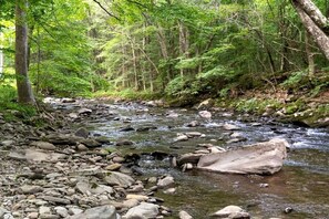 A river flowing through a forest with rocks and trees. - Private Luxury Glamping Tent with Delaware River Access Near Long Eddy, NY (Long Eddy)