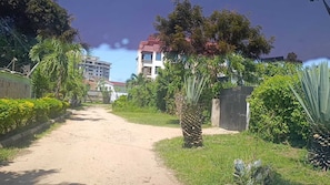 Un chemin menant à un bâtiment doté d’un toit rouge, entouré de verdure et de palmiers.