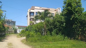 Un edificio de varios pisos, rodeado de abundante vegetación y un sendero de tierra.
