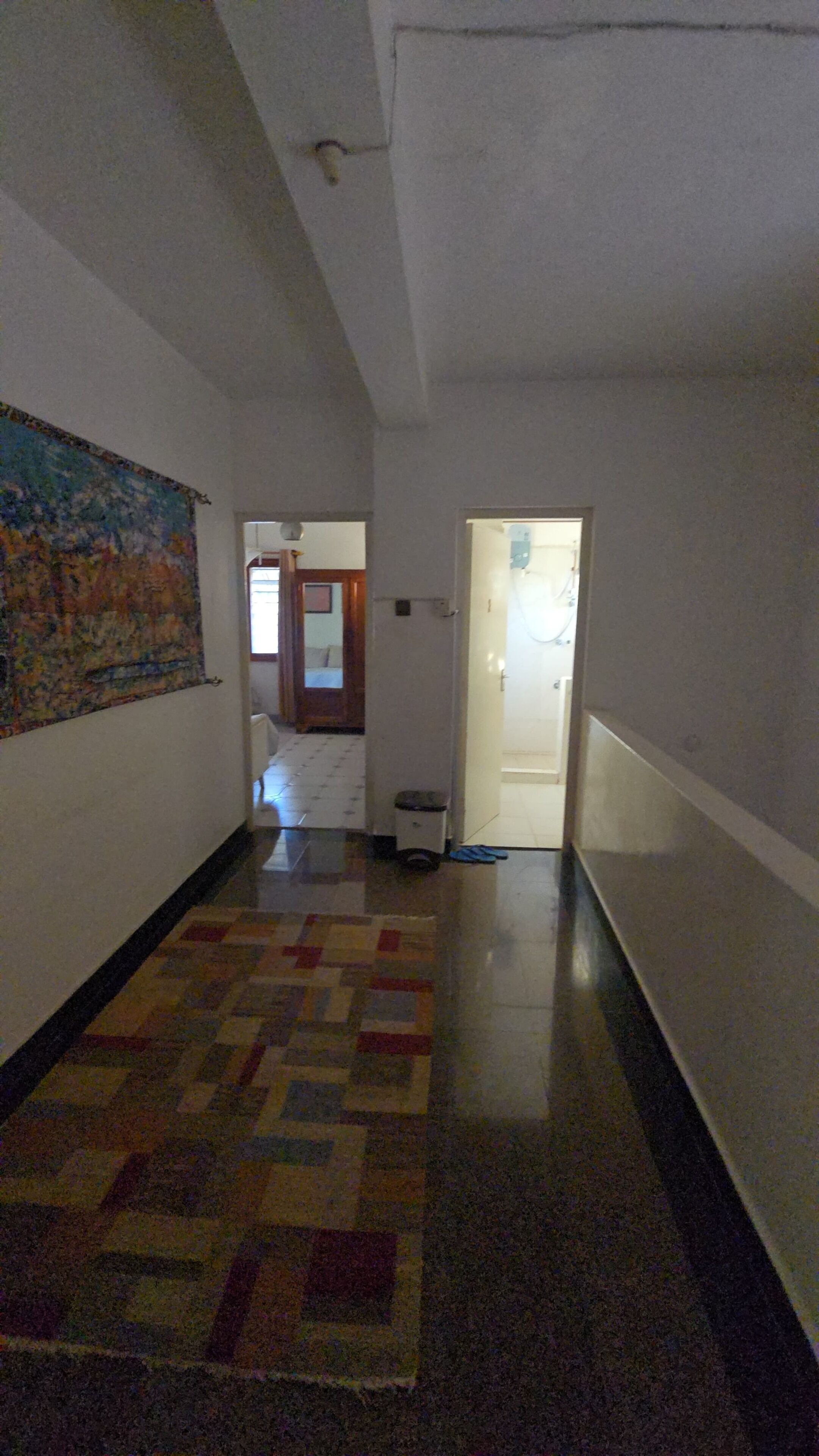 A hallway with a patterned carpet, a door leading to a bathroom, and a painting on the wall.