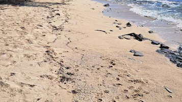 A sandy beach with footprints and rocks, trees, and a clear blue sky.