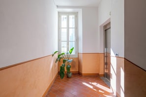 Ein Flur mit einer Zimmerpflanze, einem Fenster und einem Aufzug.