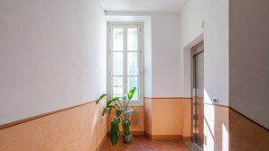 Un couloir avec une plante en pot, une fenêtre et un ascenseur.