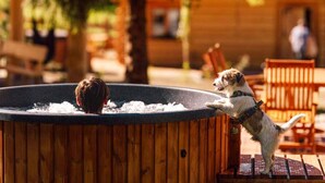 A wooden hot tub with a dog standing on its edge.