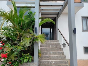A modern building entrance with a staircase, a covered area, and lush tropical plants.